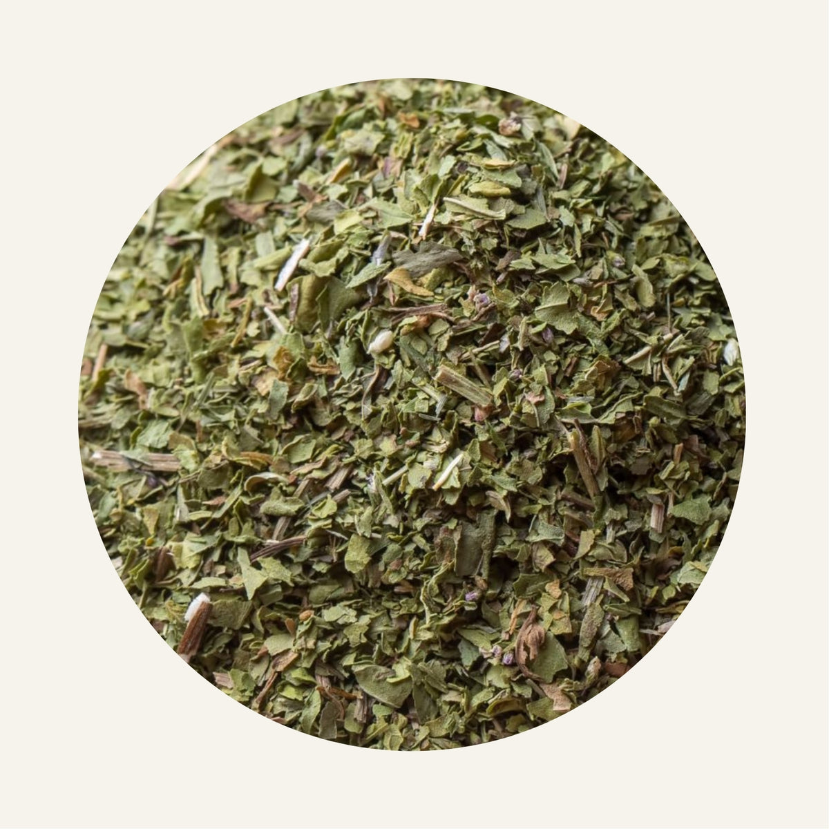 Menthe_Verte_Pouliot_Bio