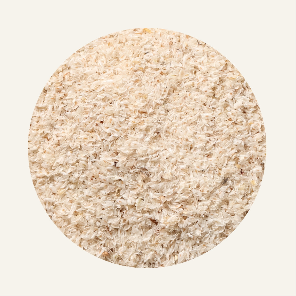 Psyllium_en_poudre
