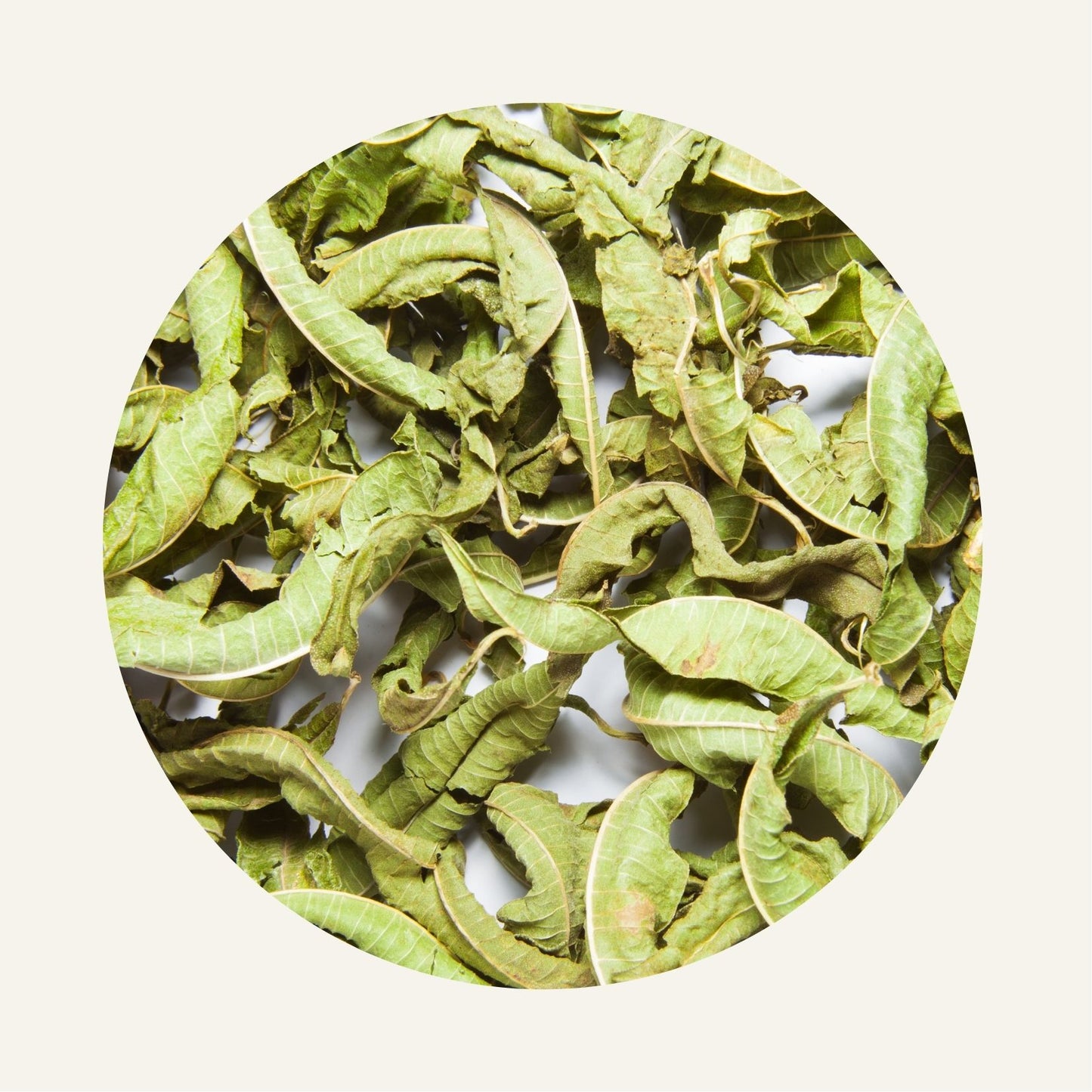 Verveine_Sechee_Fidari