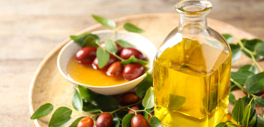 Huile de Jojoba : Bienfaits, Utilisations & Guide Complet