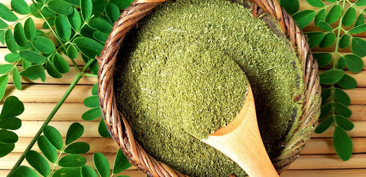 Moringa : Bienfaits, Utilisation & Où l'Acheter au Maroc