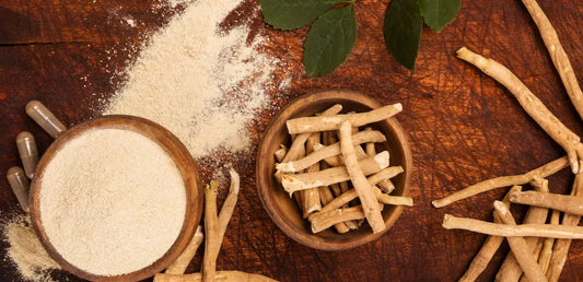Ashwagandha au Maroc : bienfaits, dosage et dangers | Fidari Market