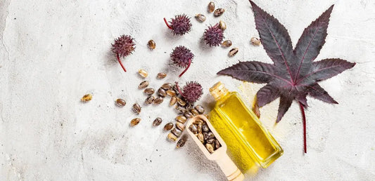 huile-de-ricin-graines-plante-naturelle