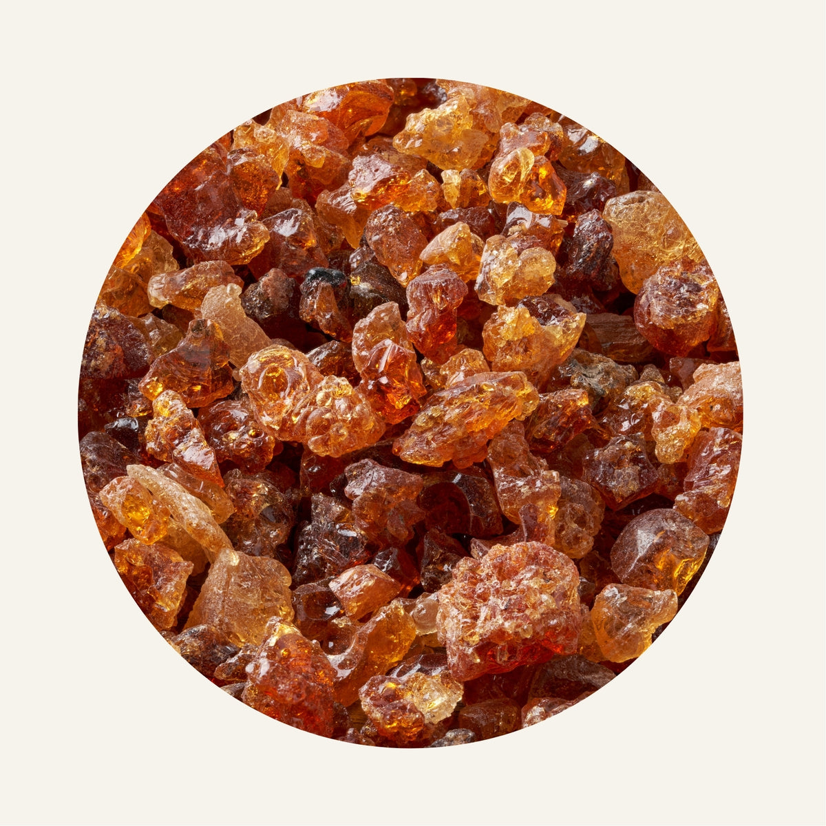 Aalk_Gomme_d_acacia