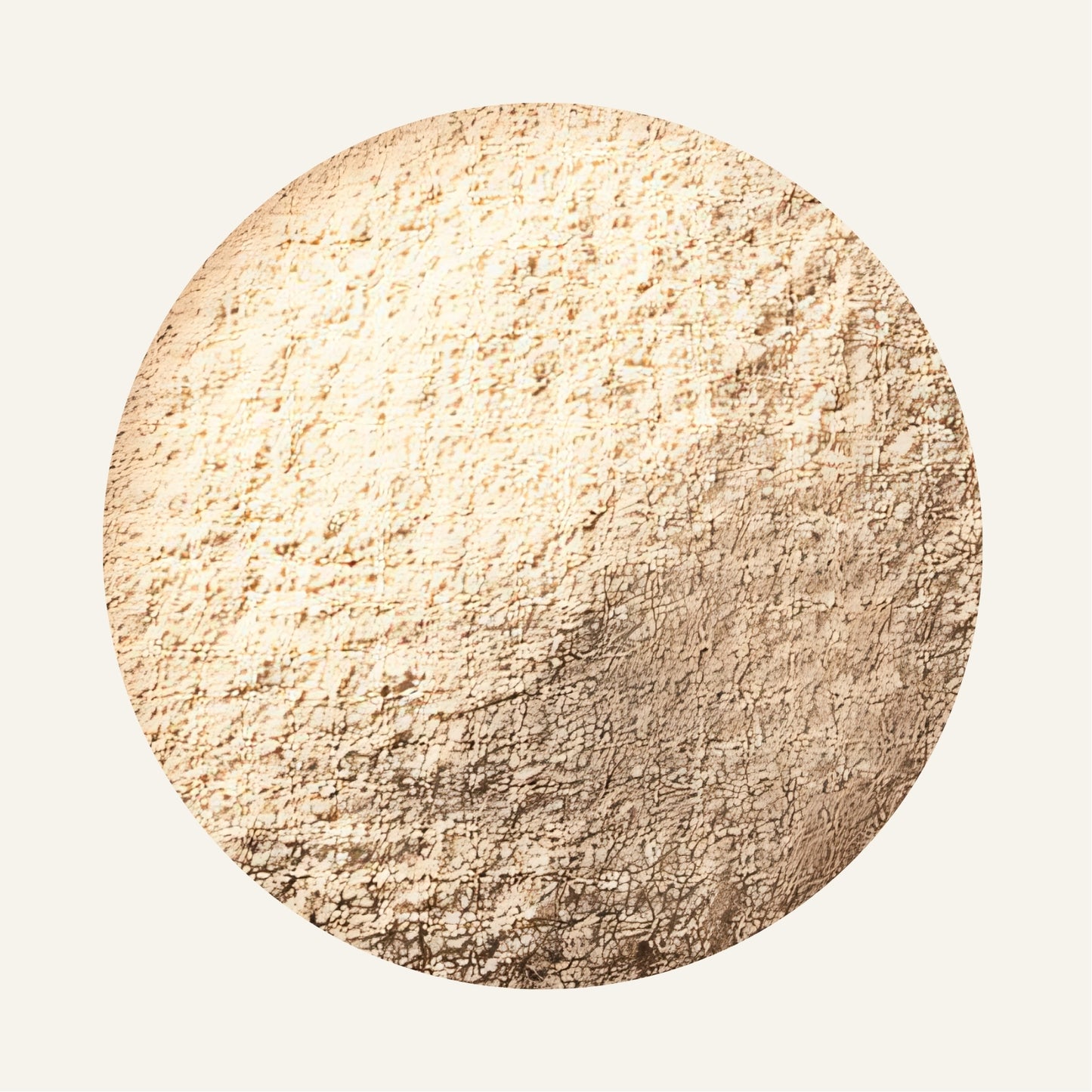 Ashwagandha_en_poudre