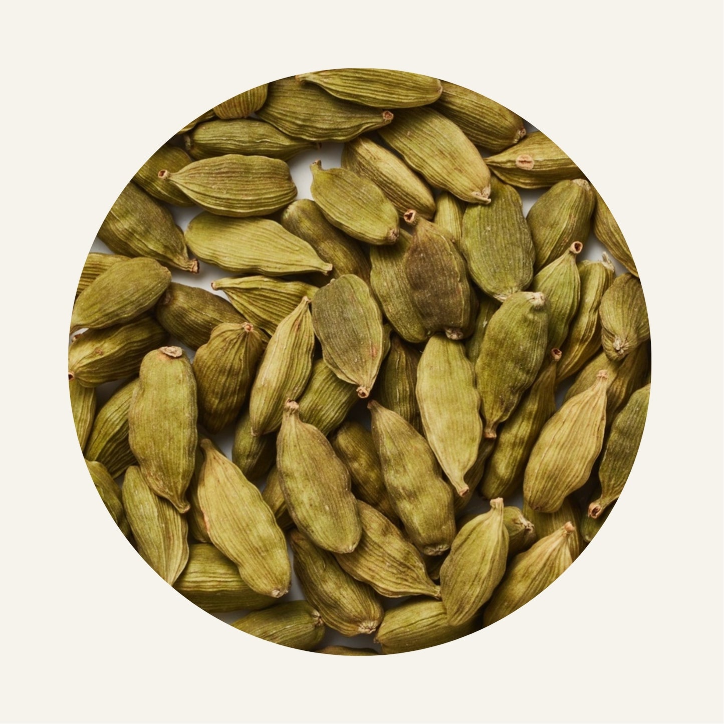 Cardamome_Fidari