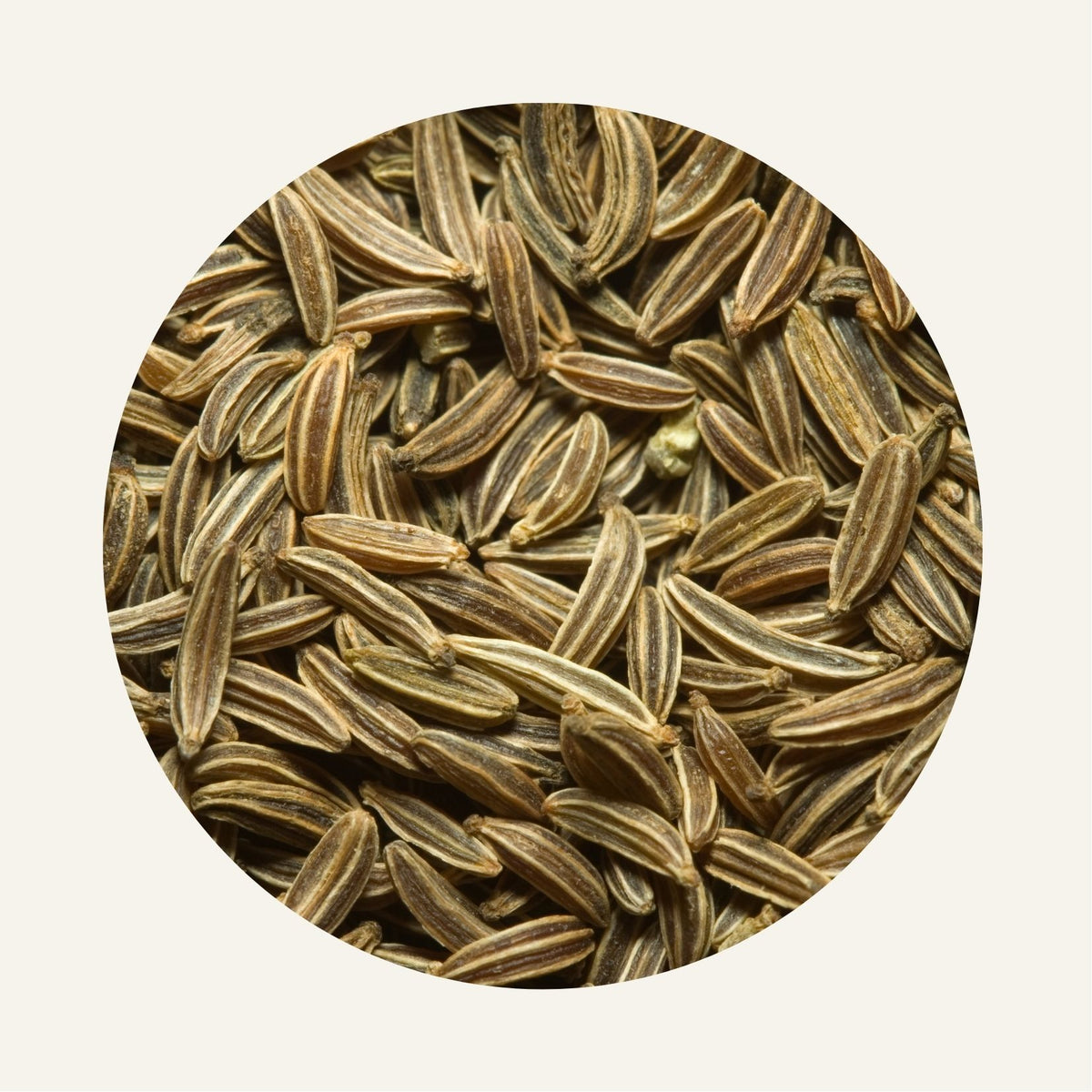 Carvi_100g_Fidari