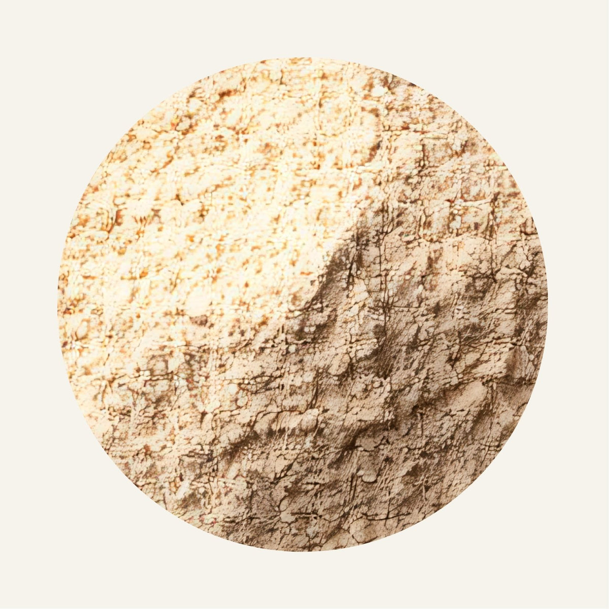 Ginseng_en_poudre