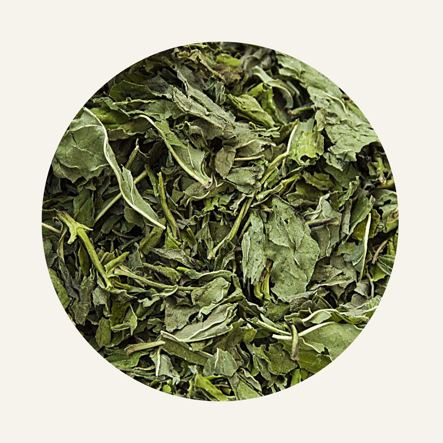 Menthe_Verte_Sechee