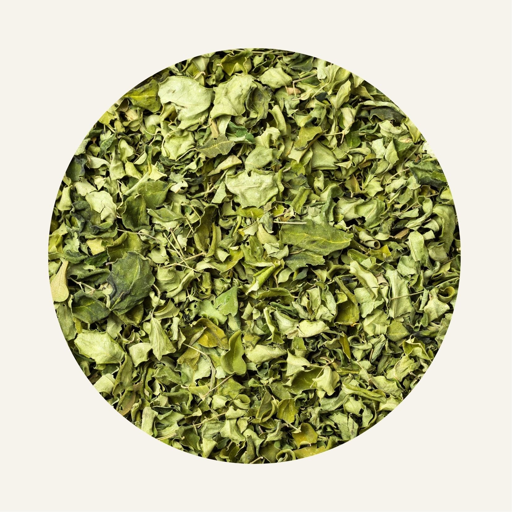 Moringa Sechee Fidari