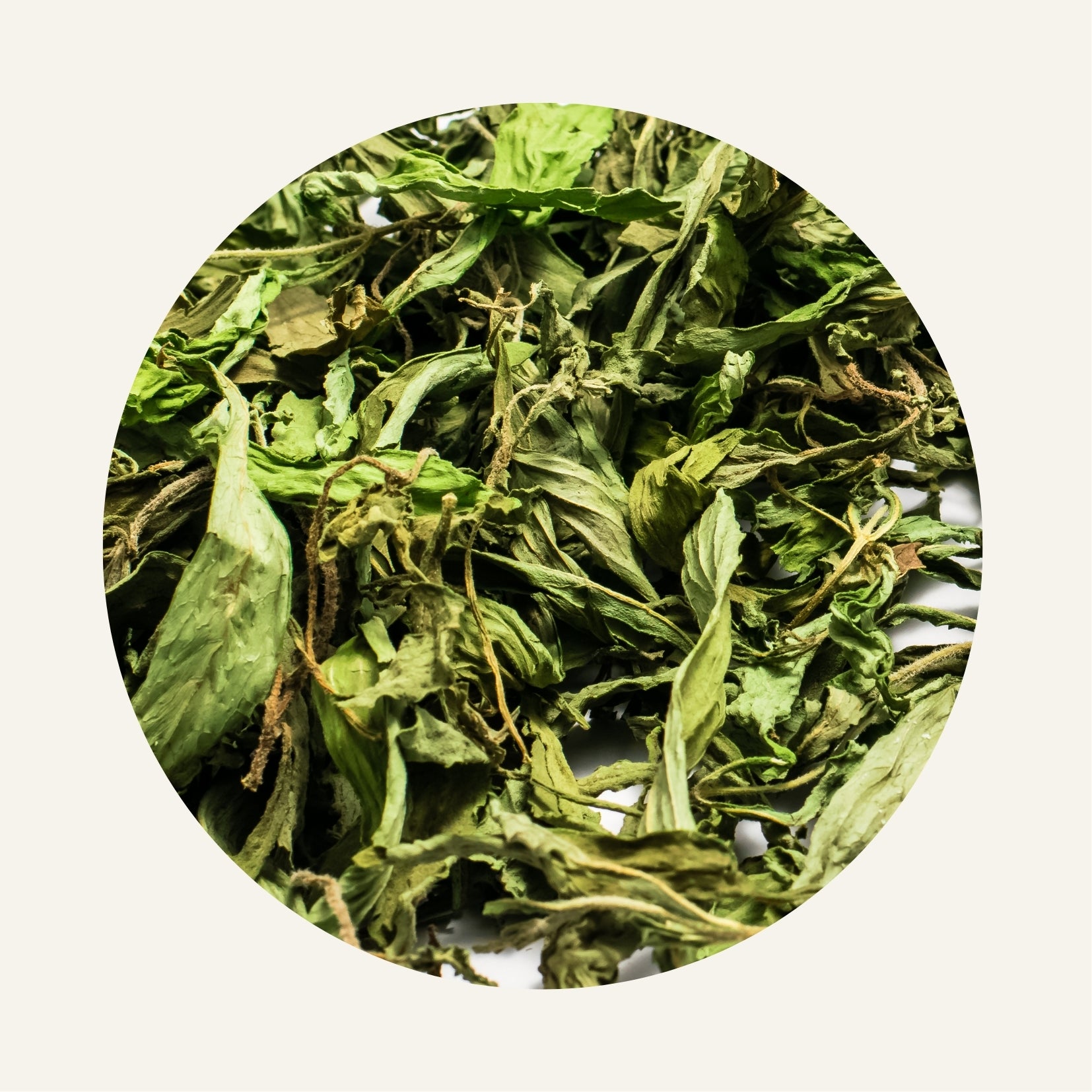 Stevia Fidari Market